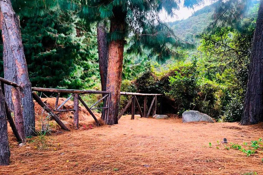 Quebrada La Vieja Trail